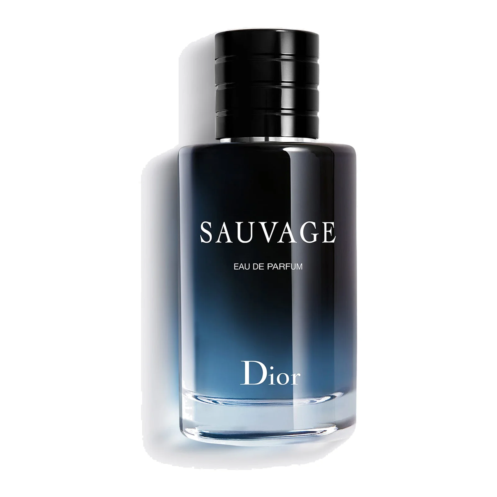 Dior Sauvage Eau de Parfum 100 ml — imagem 1 (divulgação Dior)